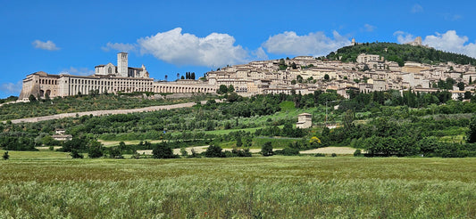 View from valley of Assisi (Umbria region) and the Basilica of St Francis of Assisi