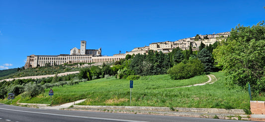 Panoramic view of Assisi and the Church of St Francis, Umbria, Italy