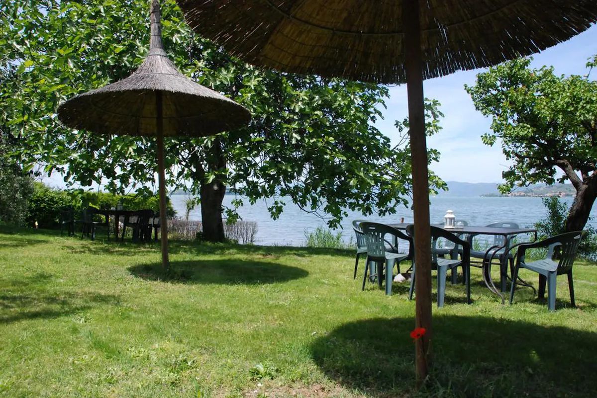 La Folaga del Trasimeno - Trasimeno Lake