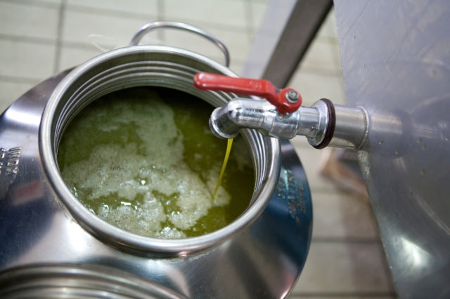 Olive Oil from Umbria